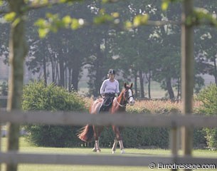 plenty of room at Jewel Court Stud for a cool-down walk