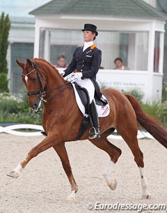 Adelinde Cornelissen on Parzival