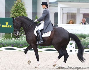 Jordi Domingo and Prestige at the 2011 CDIO Aachen :: Photo © Astrid Appels