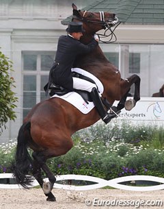 ...but the sensitive Michellino offspring was terrified in the Aachen arena