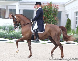 Philippe Jorissen on Le Beau