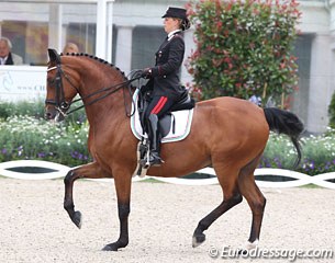 Valentina Truppa on the Italian warmblood Eremo del Castegno (by Rohdiamant)