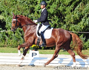 Gilles Ngovan and Furstentraum win the 4-year old Swiss Young Horse Championship :: Photo © Elisabeth Weiland