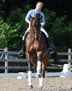 Isabell Werth brought four horses (and one groom) to Balve. She competed Laurenti in the Nurnberger Burgpokal qualifier but had to retire her powerhouse horse