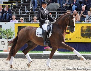 Rudolf Widmann and Sans Souci finished fifth. Beautifully presented horse with a powerful trot and canter but the clarity of rhythm got compromised in both the extended and collected walk