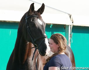 Willeke van Uden handling Salinero