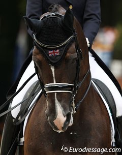 Valegro :: Photo © Astrid Appels