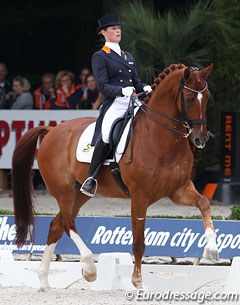 Adelinde Cornelissen on Parzival