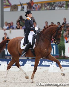 Adelinde Cornelissen on Parzival