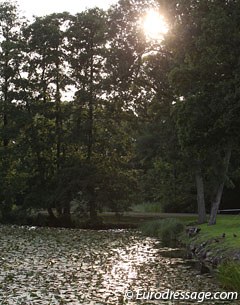 The mote at Broholm castle