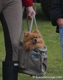 Fluffy carry-on