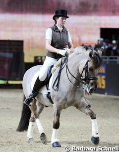 Pinocchio,  a "Dülmener Wildpferd", presents advanced movements in a clinic with Britta Schöffmann