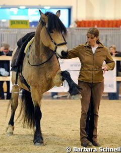 Nathalie Penquitt showing circus elements