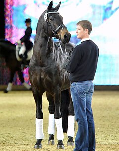 Rohdiamant at 2011 Equitana :: Photo © Tanja Becker