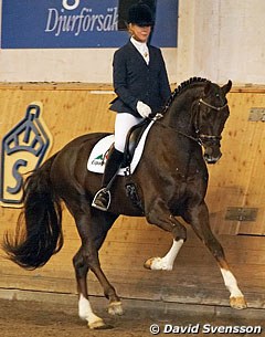 Jessica Andersson and Sohn der Sonne at the 2011 Swedish Warmblood Performance Testing in Flyinge :: Photo © David Svensson