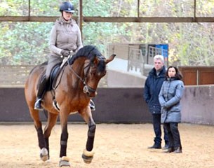 Camille Judet-Cheret and her 12-year old Westfalian Fellini (by Florestan x Remember) training with Hans Heinrich Meyer zu Strohen