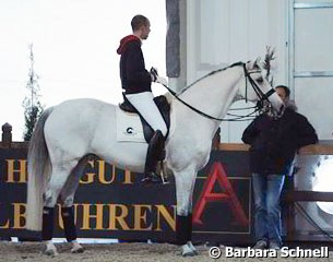 Hans Peter Minderhoud brought his new ride, Silvia Rizzo's Donna Silver, to Frankfurt for some training