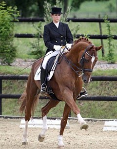 World Magic (by Warkant x Cavalier) :: Photo courtesy LUX Dressage