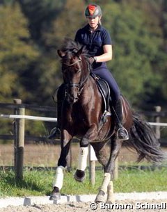 Jessica Krieg's junior riders horse is the young 6-year old Special Edition. She's taking it slow with him.