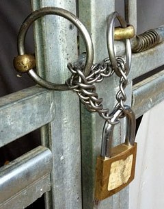 Bit lock with curb chain
