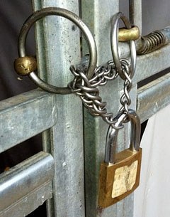 Bit lock with curb chain