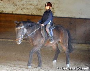 One of Karin Meyer's very old but healthy ponies continues to teach small kids the feeling of sitting and riding a horse. 