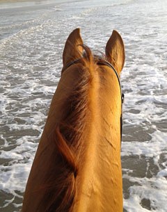 Luis Principe takes his Grand Prix Washington out for a nice hack on the beach and in the dunes