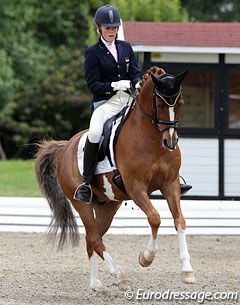 Sophie Kampmann on Den Ostriks Dailan. The rider was struggling to keep the pony going forward but still put down an accurate test