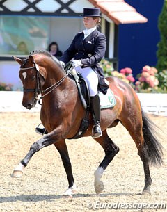 Anna Lena Kracht on the gorgeous Trakehner stallion Kasimir TSF