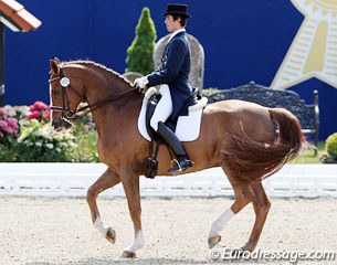 French Raphael Loison on the Belgian warmblood Vivaldi van het Lindenhof (by Camus)