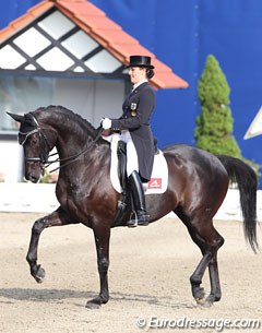 Victoria Michalke on the handsome 9-year old Oldenburg gelding Dance On (by Dream of Heidelberg x Welt As)