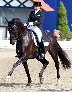 Dorothee Schneider and Van the Man at the 2011 CDI Hagen :: Photo © Astrid Appels