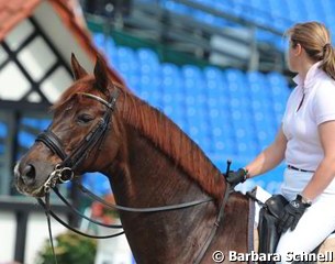 Ellen Schulten Baumer brought along a Furst Heinrich offspring to school at the show