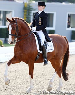 Klaus Balkenhol's student Kirsten Sieber on Charly (by Chagallo x Calvadur)