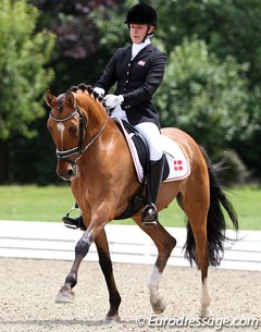 Caroline Bording Smidt on PSW Desperado at the 2011 CDI-P Hagen :: Photo © Astrid Appels