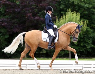 Anna Lisa Theile on Desmond at the 2011 CDIO-P Hagen :: Photo © Astrid Appels