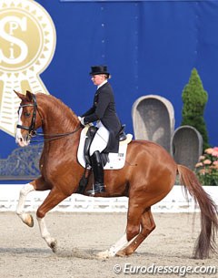 Andrea Timpe on the talented chestnut Dixieland (by De Niro x Weltmeyer)