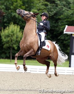 Flying high winning the CDI Compiegne two weekends ago, but in Hagen it was more literal. Naughty Natalina took off in the extended trot but Vallentin remained brave and finished the ride admirably