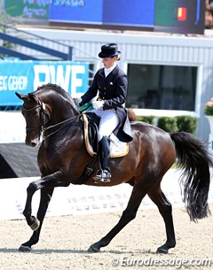 Mirelle van Kemenade-Witlox on the Oldenburg stallion Dreamcatcher, which she bought at the P.S.I. Auction