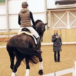 Tineke Bartels coaching Imke Schellekens-Bartels on Toots at the 2011 British Dressage Convention in Hartpury :: Photo courtesy British Dressage