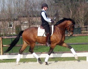 Emma van den Hooven on Beaumonde