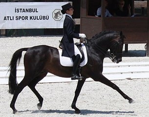 Alexandra Alexopoulou from Greece claimed Young Rider Individual Gold at the FEI Balkan Dressage Championships 2011 in Istanbul (TUR) riding Marco Polo.