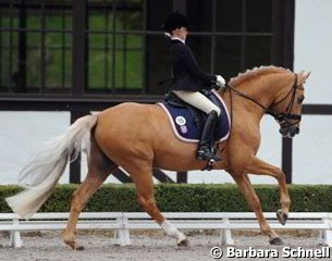 Semmieke Rothenberger on schoolmaster Domino Dancing