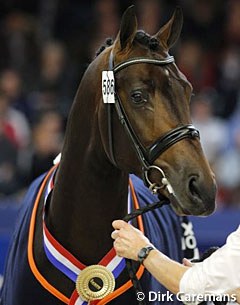 Diebrecht (by Zizi Top x Kennedy)