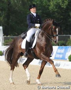 Hayley Beresford on the Westfalian breeding stallion Belissimo M (by Beltain x Romadour II)