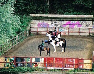 Twenty London families were able to receive free horse riding and stable management lessons by Emile Faurie