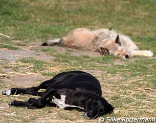 Beating the heat