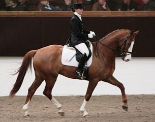 Tanja Kayser's Oldenburg stallion Dalou Shan (by De Kooning)