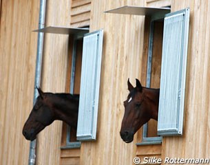 The brand new driving stable