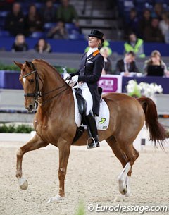 Adelinde Cornelissen on Parzival